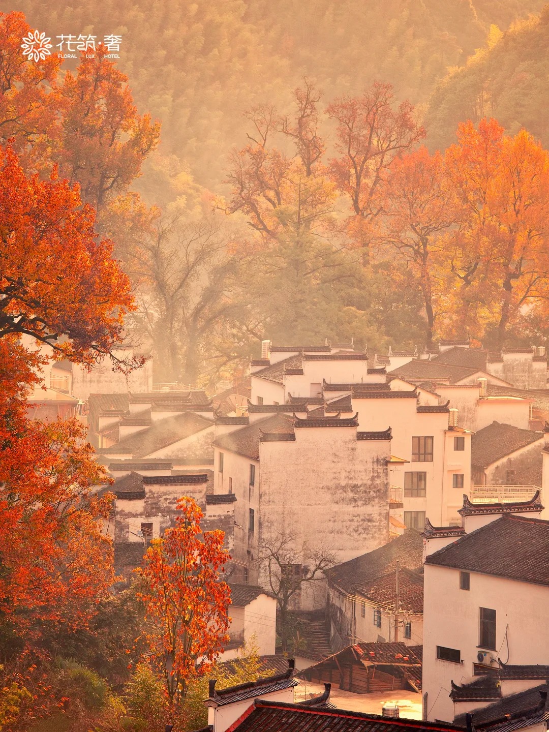 被《国家地理》评为皖南最美古村的秋天有绝_1_花筑奢_安徽徽州-来自52tours 我爱旅游网